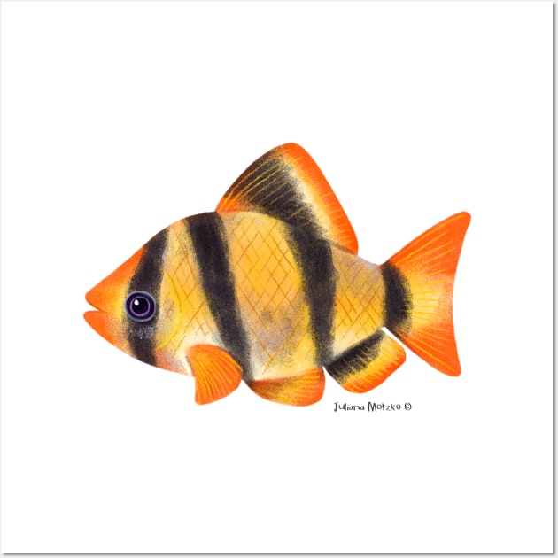 Tiger Barb Fish Wall Art by julianamotzko